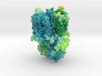Mu-Opioid Receptor in Complex with Morphinan 4DKL 3d printed