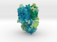Mu-Opioid Receptor in Complex with Morphinan 4DKL 3d printed