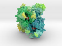 Mu-Opioid Receptor in Complex with Morphinan 4DKL 3d printed