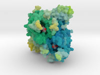 Mu-Opioid Receptor in Complex with Morphinan 4DKL 3d printed