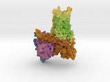 Serotonin Receptor 5-HT1A DMT Complex 7E2Y 3d printed
