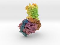 Serotonin Receptor 5-HT1A DMT Complex 7E2Y 3d printed