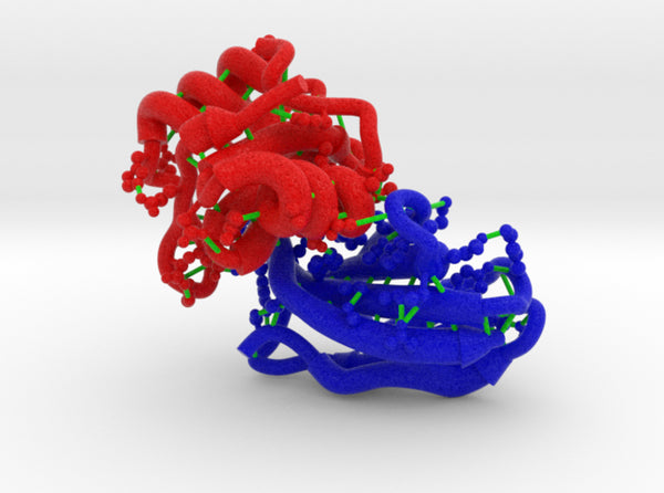 Monobody NSa1/SHP2 N-SH2 Domain Complex 4JE4 3d printed