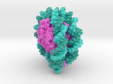 Nucleosome 6PWE 3d printed