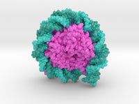 Nucleosome 6PWE 3d printed