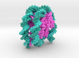 Nucleosome 6PWE 3d printed