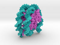 Nucleosome 6PWE 3d printed
