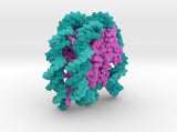 Nucleosome 6PWE 3d printed