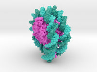 Nucleosome 6PWE 3d printed