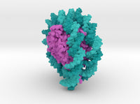 Nucleosome 6PWE 3d printed
