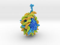 Nucleosome 1AOI 3d printed