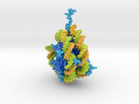 Nucleosome 1AOI 3d printed