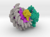 Nucleosome 6FTX 3d printed