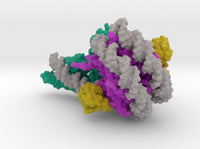 Nucleosome 6FTX 3d printed