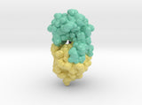 Bacteriophage T4 Lysozyme 256L 3d printed