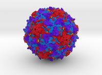 Poliovirus Shell 1EAH