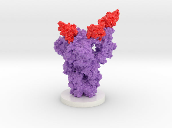 SARS-CoV-2 Spike Glycoprotein Ab8 Complex 7MJH
