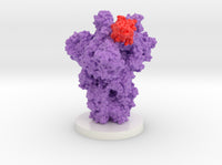 SARS-CoV-2 Spike Glycoprotein Ab6 Complex 8DLX