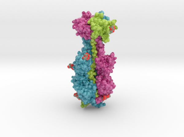 Cytomegalovirus Glycoprotein B 5cxf 3d printed