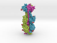 Cytomegalovirus Glycoprotein B 5cxf 3d printed