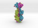 Cytomegalovirus Glycoprotein B 5cxf 3d printed