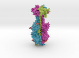 Cytomegalovirus Glycoprotein B 5cxf 3d printed