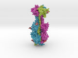 Cytomegalovirus Glycoprotein B 5cxf 3d printed