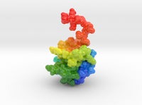 Protein Disulfide Isomerase 2BJX
