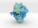 DPP4 in Complex with Sitagliptin 2P8S