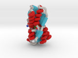 Ribose Binding Protein 2DRI