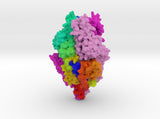 RSV Fusion Glycoprotein Prefusion 5TDL
