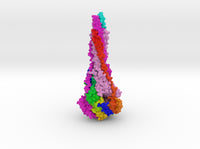 RSV Fusion Glycoprotein Postfusion 3RRR