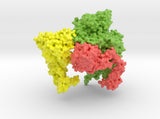 Prothrombin-Prothrombinase complex 7TPP with Base