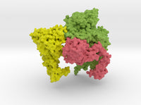 Prothrombin-Prothrombinase complex 7TPP with Base