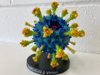 SARS-CoV-2 Virion